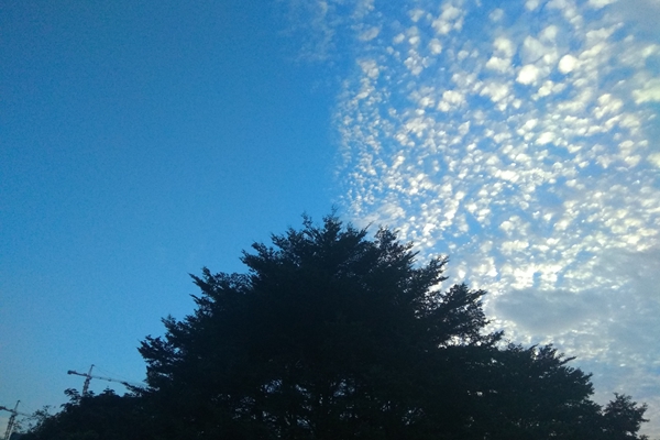 1513750778526089489.jpg
