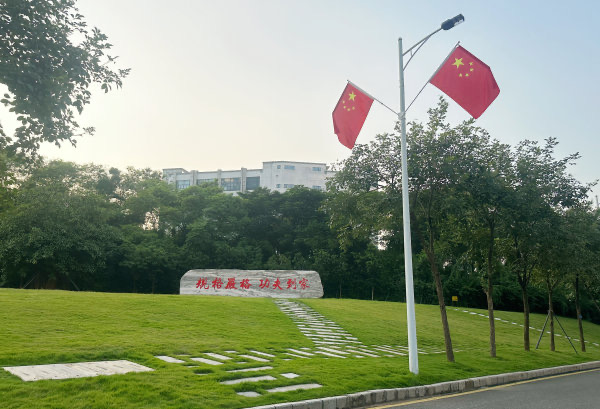 1729657276726044970.png 图片5.png