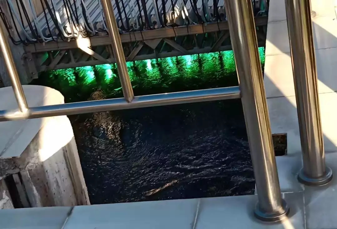 1541042976824064689.jpg 1541042976824064689.jpg