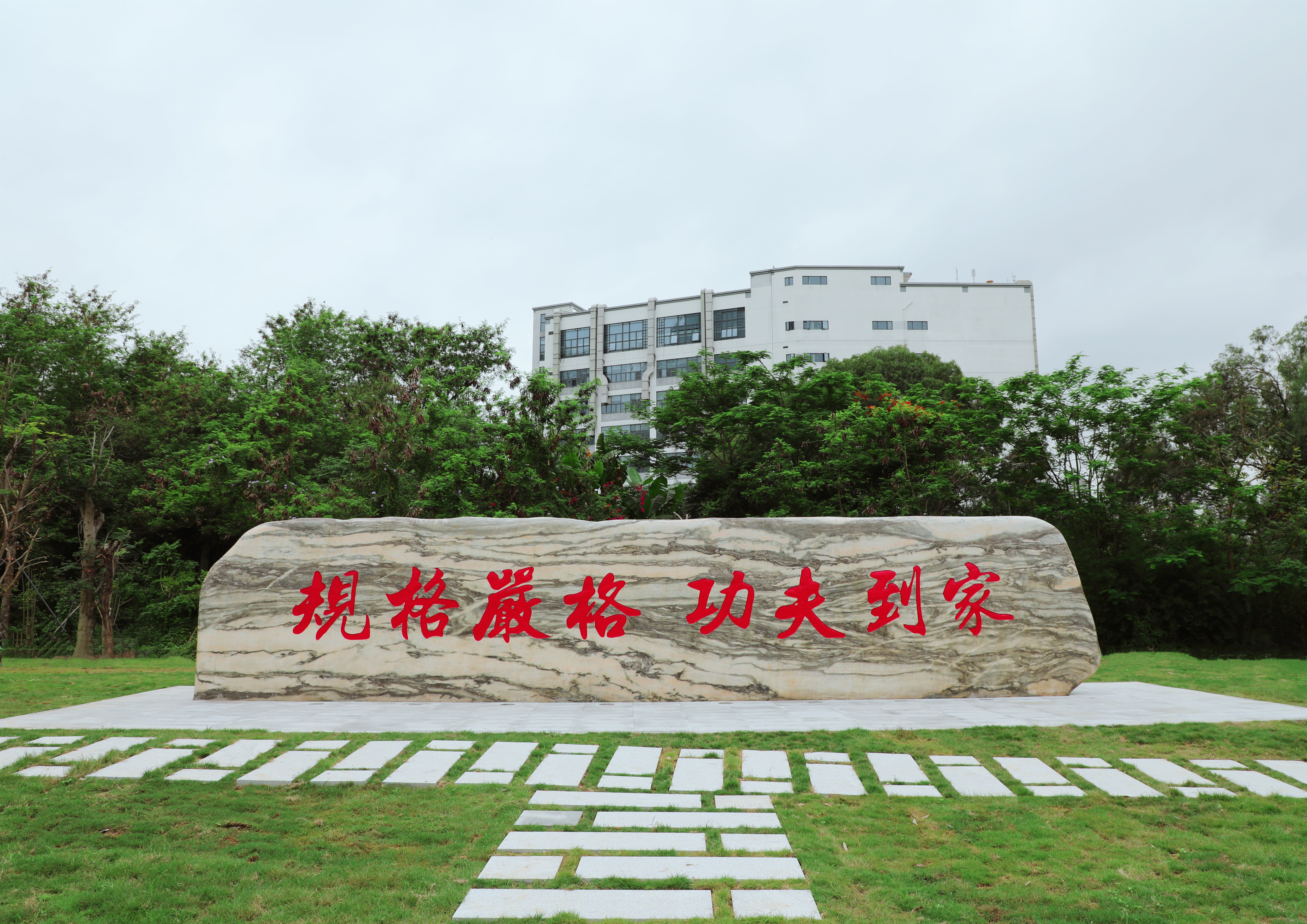 1590379027825053866.jpg 原图.jpg