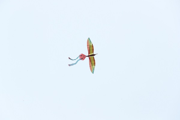 1555640868415057939.jpg BD1I8377.jpg