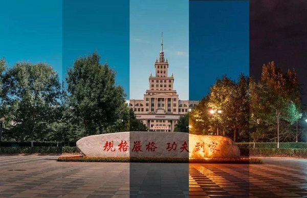 1561878059291091731.jpg 3.jpg