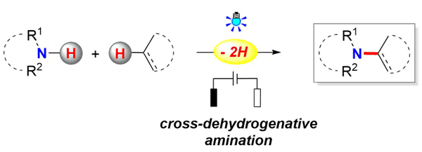1525425148165073780.png 1_副本.png