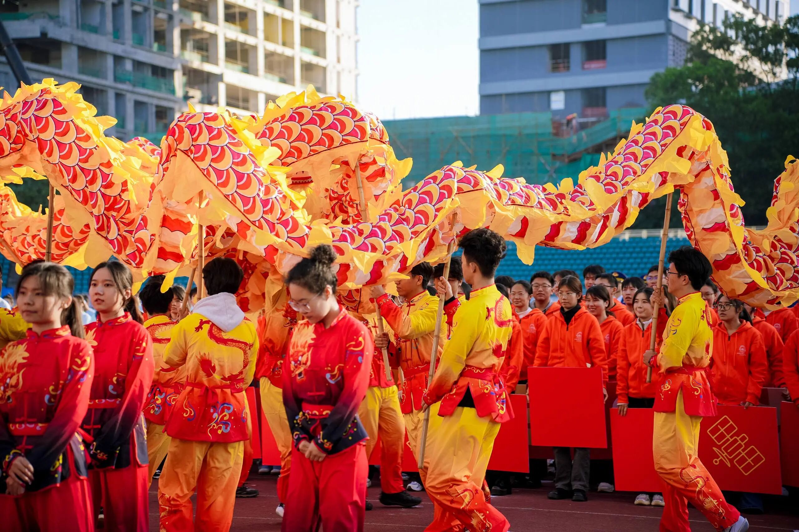 1765170573980059858.jpg 微信图片_2025-12-08_102428_672.jpg