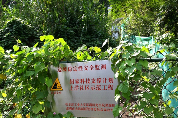 1523242426910062361.jpg 2_副本.jpg