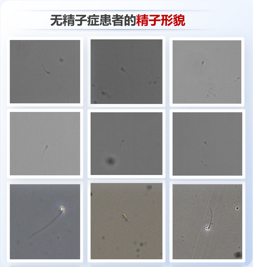 1762065523059032496.png 424503_74c6cbc6-a4da-4a89-aa6d-230dc834a182copy.png