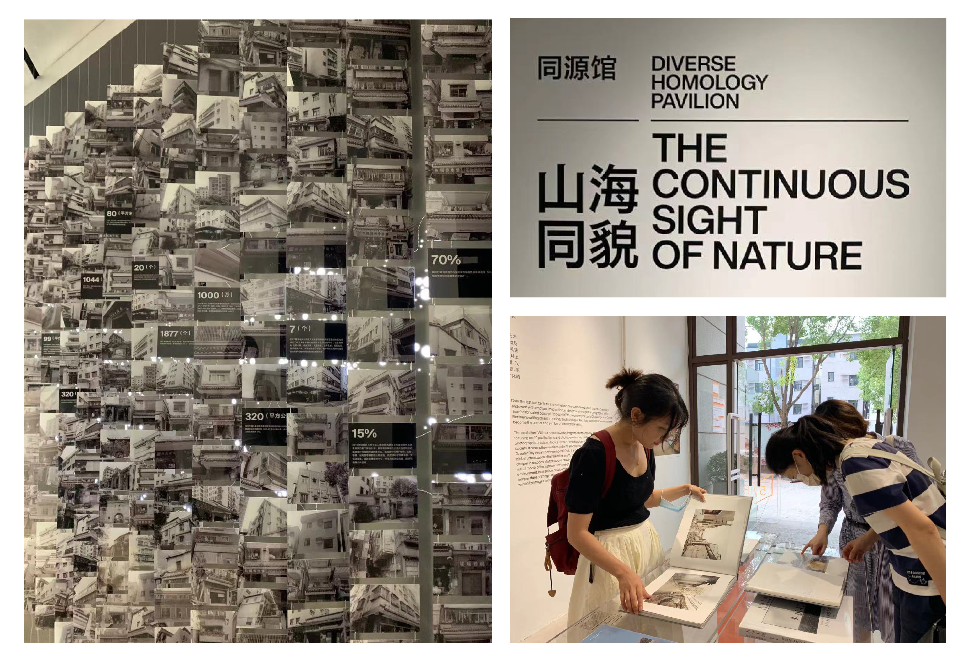 （02）“山川与海同貌，人与自然共生”展览活动内容展示.jpg