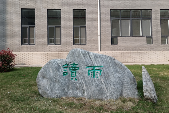 IMG_20220406_160254.jpg