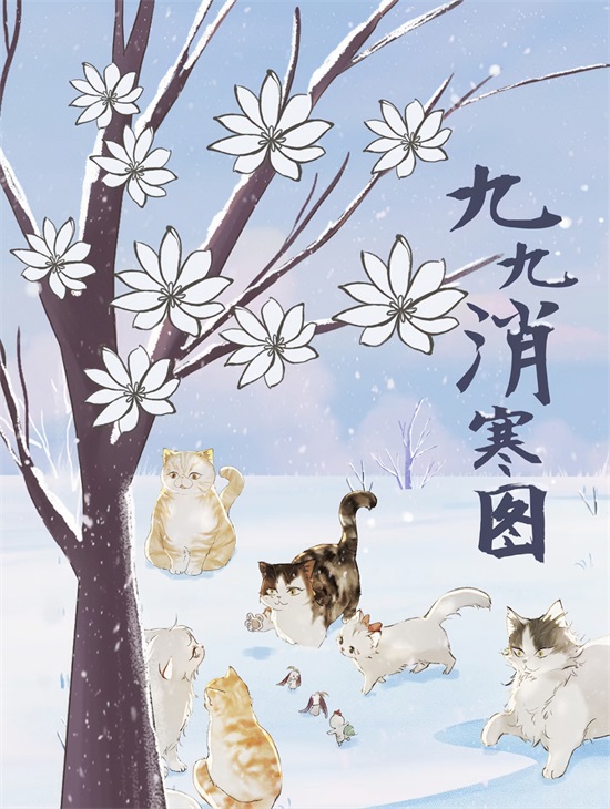 图片2.jpg